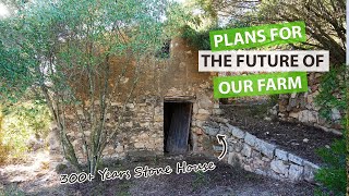 Restoration of Our Abandoned Farm in Spain [Plans for the Future]