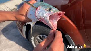 Fishing at the Sky Bridge in Florida!