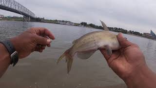 He was little and barely hooked(Cincinnati,Ohio river