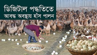 Poultry rearing by digital method | How to Raising Millions of Duck