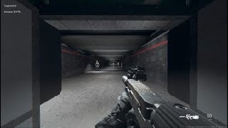 P90 MW2 2022 Inspect Animation