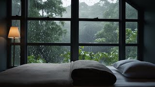 Cool autumn rain falls continuously, Sounds for Sleep, Relaxation, and Focus