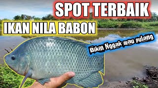 Spot Mancing Ikan Nila Babon