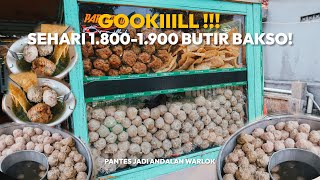 BAKSO YANG GA PERNAH SEPI ! PANTES SEHARI 1.900 BUTIR !