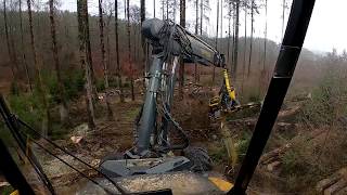 Onboard Ponsse Ergo | Cab View | Mit GoPro Hero 8 Black. | 🌲Käferholzfällen🌲 (Ansicht aus Kabine)