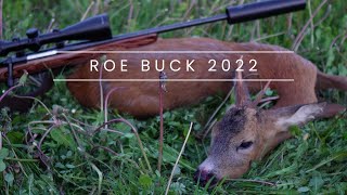 Roe deer HUNTING 2022 | NATURE VIBE