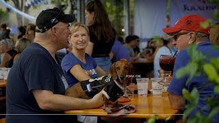 July Dachshund Races at Krause's Cafe 4K