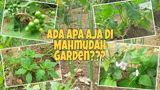 Eps. 53 Gardening || Garden Tour Di Awal Musim Kemarau