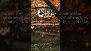 Surah Al-An'am Mishary bin Rashid AAlaafasy I Ayah 141