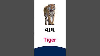 Tiger meaning in Gujarati - English dictionary