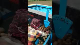 Potato grader machine