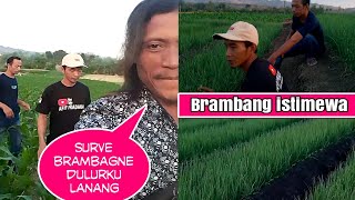 mampir nengok tanaman milik  subcriber setia,pak guru WASITO ,dari kota Bojonegoro,Sekar,mbareng