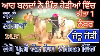 Ox Races Heriyan ।। ਜੇਤੂ ਜੋੜੀ ਪਿੰਡ ਹੇੜੀਆਂ ।। Bald Races ।। ਬਲਦਾਂ ਦੀਆਂ ਦੌੜਾਂ ।। Pendu Culture ।।