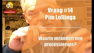 Vraag #14 DierenLot - Pim Lollinga