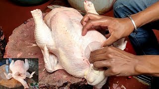 Fastest Chicken Cutting Skill | Master of Chicken Cutting | Fastest Chicken Cutting Skill at Street