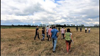 Rencontres techniques Bio Grandes Cultures- Légumes 2020