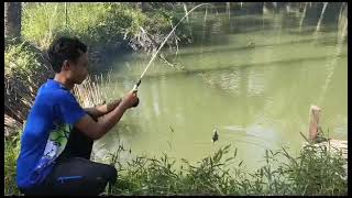 mancing mania "mantap"