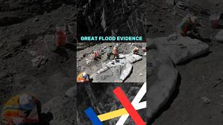 Ebidensya sa GREAT FLOOD! #bible #evidence #ancienthistory