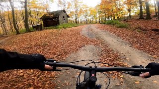 Hlboča a lesné cesty pod Veterlínom. Cyklovýlet v Malých Karpatoch.