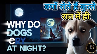 क्यों रोते हैं कुत्ते रात में ही || why do dogs cry at night || hindi stories animals || story time