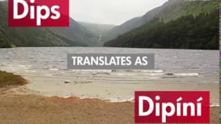 10 Irish language translations that are so bad they're good