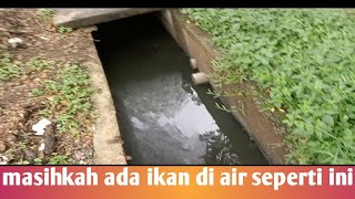 experiment | mencari ikan di air kotor!!!