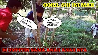 PRANK UMPETIN K4MB1NG TEMEN || SEKALINYA MAIN BIKIN PUS1NG - NG4K4K