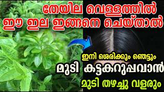 ഈ ഇല ഉണ്ടോ?? വെളുത്ത മുടി കരിപോലെ /henna hair dye /malayalam/poppy vlogs