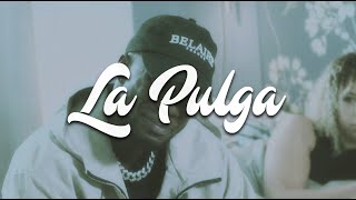 LA PULGA - PIMENT DANS LA SAUCE (clip officiel)