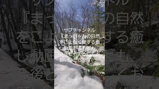 ありがとうございます、これからも応援、よろしくお願いいたします(^^)