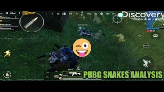 PUBG MOBILE MEME || PUBG MOBILE Snakes Analysis