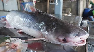 Excellent Fish Cutting Skills | Fish Cutting Machine | Fish Cutting Video | Fast Fish Cutting Skills