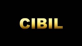 What is CIBIL and how to improve CIBIL Score