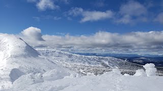 Skiing side country at Big White