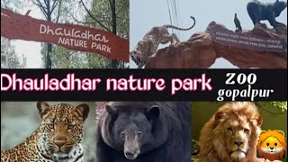 Zoo in Kangra Valley|| Dhauladhar Nature’s Park|| Gopalpur Zoo