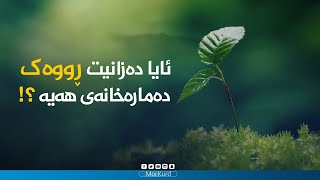 ئایا دەزانی ڕووەک دەمارەخانەی هەیە؟