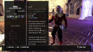 ESO-OP Magcro AP Whore build video