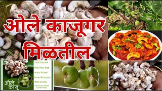 ओले काजूगर मिळतील | कोकणातला रान मेवा | ole kajugar. Contact:9004185853