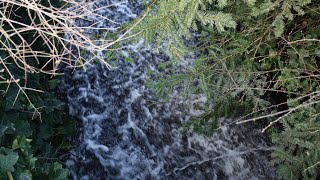 Lausche dem Bach zur Beruhigung zur Entspannung