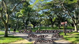 Beautiful Pasir Ris park of Singapore|cycle for almost 5 hours||morning exercise 🚲