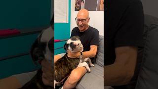 Patrick Stewart’s Heartwarming Mission to Save Pit Bulls