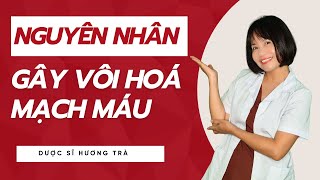 Nguyên Nhân Gây Vôi Hoá Mạch Máu Có Thể Bạn Chưa Biết !