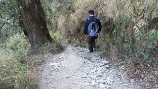 Way of China Peak Nainital