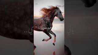 عبدالمجيد عبدالله - يامكثره في فوادي لودادي