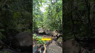 Air Terjun Sosa Lubuak Jantan Lintau #vloglintau #airterjun #infosumbar #lintau #lubuakjantan #viral