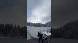 Frozen lake in Pflegersee #snow #highlights #germany #travel #shorts #christmastree #panorama #omg