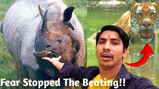 Full Day Private Safari Tour In Chitwan\\ chitwan  national park safari \\