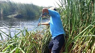 Le Tiramos la Red al agua sin pensar que Sacaría Esto.. Tremendos. pescados.