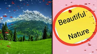 Beautiful Nature | Nature | General World || 🌲🌳🌴🌱