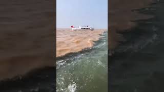 Bertemunya air keruh dengan air bening di pantai #shorts